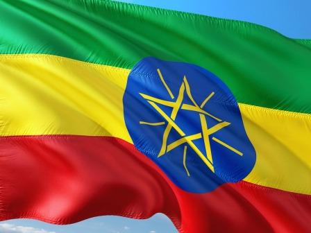 Презентация торгово-экономического и туристского потенциала Эфиопии